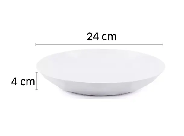 Silwy tallerken Ø24 cm med magnetbrikke Sett med 2 stk 