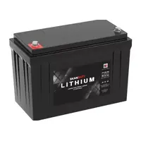 Litiumbatteri SkanBatt 12V 100AH BMS BT 
