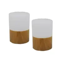 FMT Ry lampe - 2 pk 