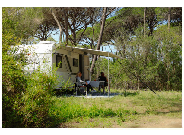 Fiamma CaravanStore Evo 320 Grå 