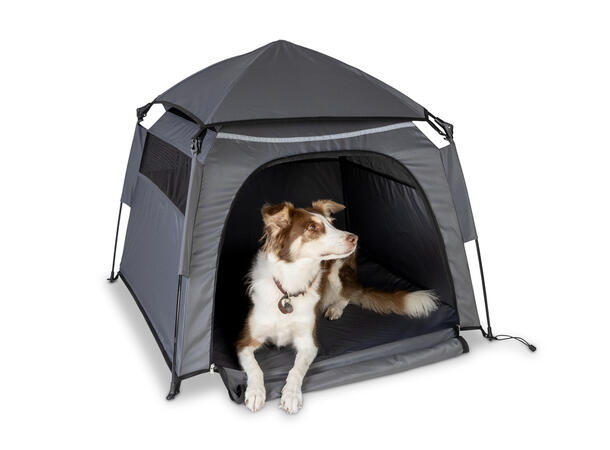 LOTTI hurtigoppsett hundetelt – lett, stabilt og frittstående 