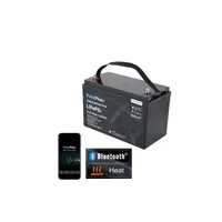 Lithium Batt Polar+ 100AH BMS 150A/150A BT Heat