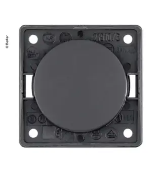 Berker Integro vekselbryter 12V/230V Matt svart