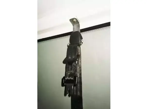 Belteoppheng VW T5 bak | Caravan.no