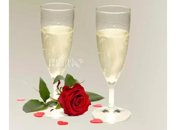 Camp4 Champagneglass Provence – Sett med 2 stk | Caravan.no