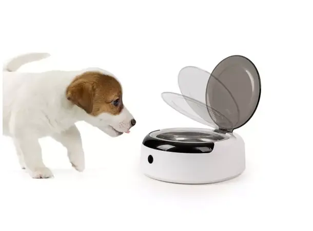 Camp4 hundeskål med sensor | Caravan.no