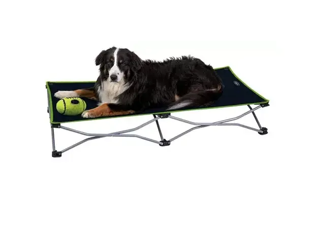 Camp4 sammenleggbar seng til hund | Caravan.no
