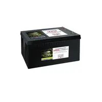 Büttner bodelsbatteri 300Ah Med lithium-teknologi
