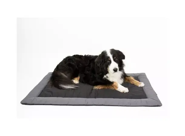 Camp4 hundepute Abby – 150 mm tykk | Caravan.no