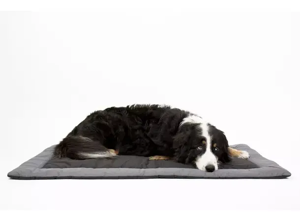 Camp4 hundepute Abby – 150 mm tykk | Caravan.no