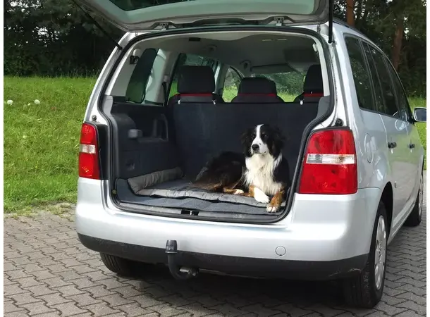 Camp4 hundepute Abby – 150 mm tykk | Caravan.no