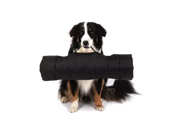 Camp4 hundepute Abby – 150 mm tykk | Caravan.no