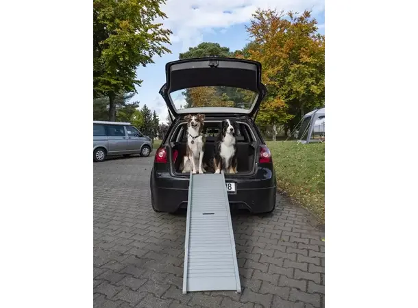 Camp4 hunderampe Emma | Caravan.no