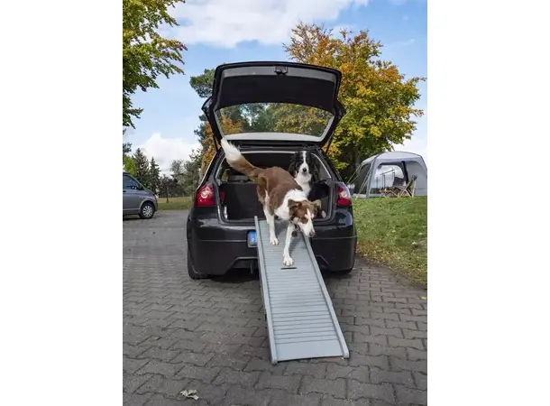 Camp4 hunderampe Emma | Caravan.no