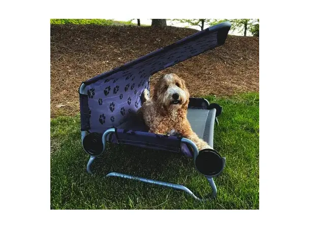 Disc-O-Bed L hundeseng med tak | Caravan.no