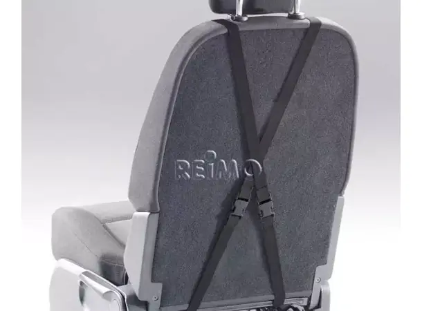 Froli polstret ryggpute 60x30 cm | Caravan.no