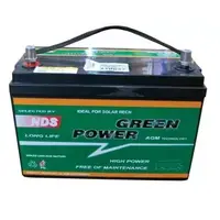 Green Power AGM batteri 100Ah 
