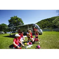Fiamma F45L 500 cm Svart / Royal Grey